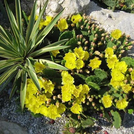 Oda ve Kahvaltı Bed & Breakfast 3*