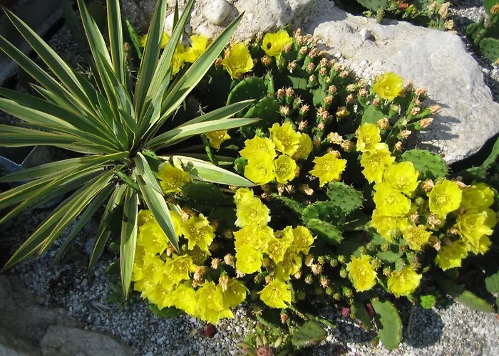 Bed & Breakfast Bed & Breakfast 3*