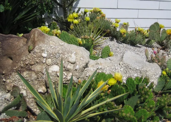 Bed&Breakfast Frühstückspension 3*